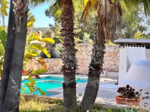 Beautiful Tropical Garden and Swimming Pool at Can Lua, Ibiza