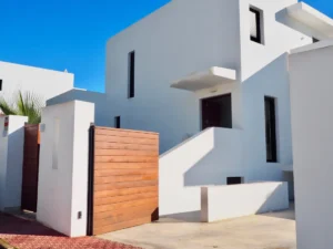 Modern entrance of luxury villa in Can Besso, Ibiza with sleek architecture and tropical landscaping