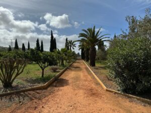Enclosed winter terrace sunroom with garden views in Ibiza finca for sale
