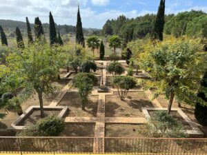 Lush 11,500m² Mediterranean garden with olive trees at Santa Gertrudis Ibiza