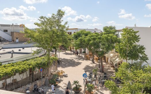 Modern Penthouse in Santa Gertrudis